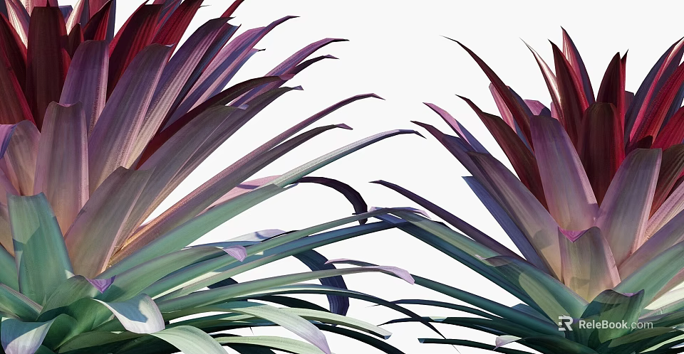 Ripe Tropical Pineapple With Vibrant Purple Leaves And Fresh Juicy Flesh Texture 3d model 