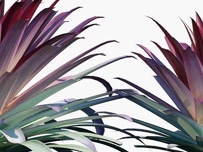 Ripe Tropical Pineapple With Vibrant Purple Leaves And Fresh Juicy Flesh Texture 3d model