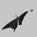Close Up View Of Butterfly And Colorful Cube On Gray Background Scene