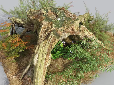 Stone Wood Natural Setting Featuring Tree Stump Green Plants and Colorful Shrubs 3d model