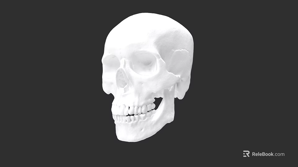 Intricate White Skull Sculpture Detailed Artistic Carving Design On Black Background 3d model 