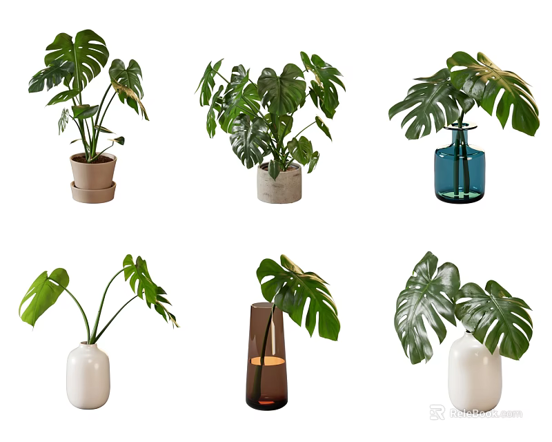 Various Decorative Vases with Green Monstera Leaves for Home Interior Decor 3d model 