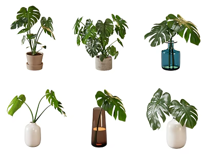 Various Decorative Vases with Green Monstera Leaves for Home Interior Decor 3d model