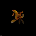 Vibrant Orange And Yellow Goldfish With Flowing Fins And Elegant Tail