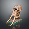 Prehistoric Mammoth Skull With Long Ivory Tusks On Green Display Base