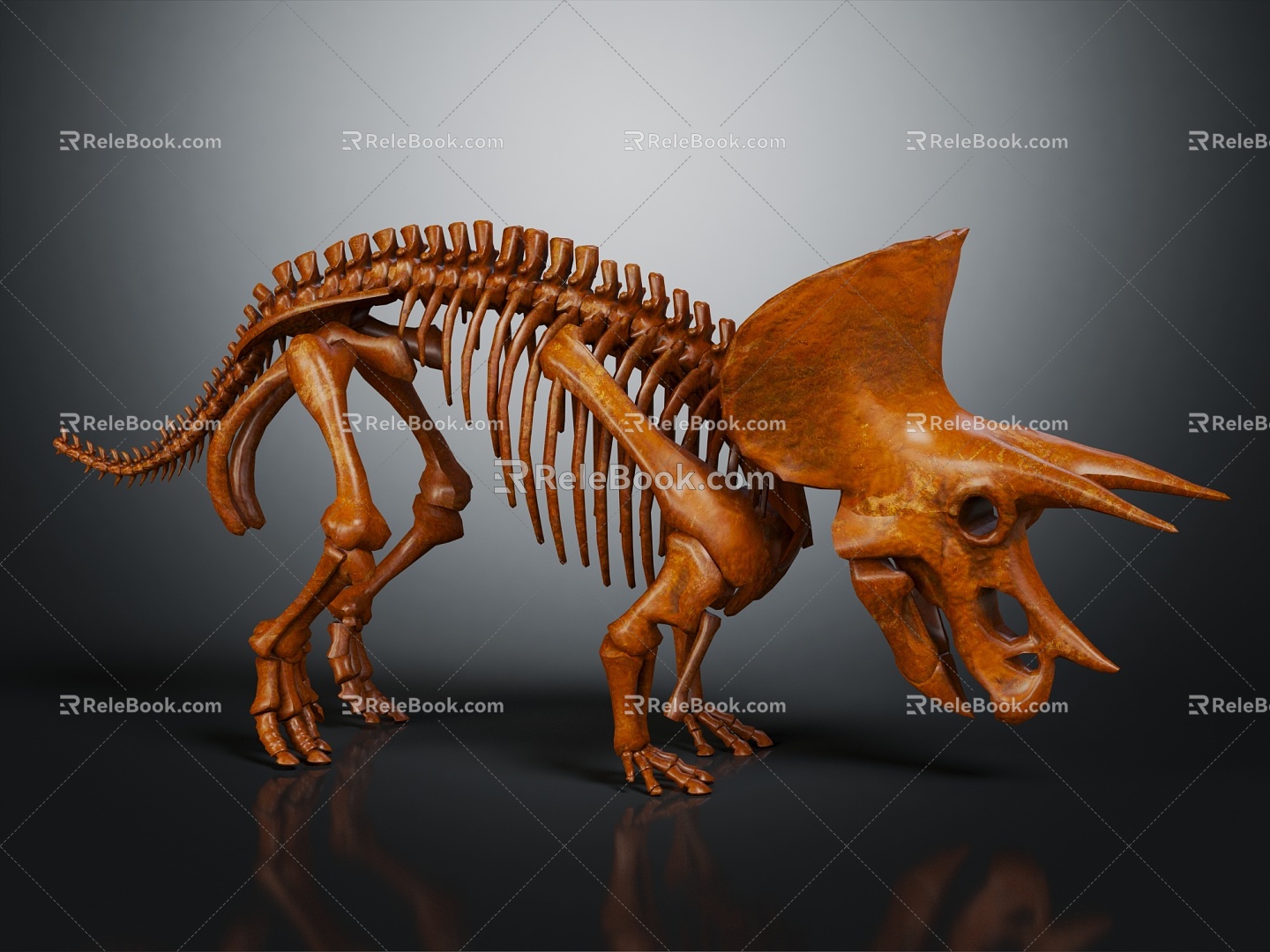 Modern Skeleton Triceratops Skeleton Triceratops Skeleton 3d model