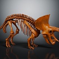 Modern Skeleton Triceratops Skeleton Triceratops Skeleton 3d model