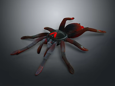 Realistic 3D Rendered Spider With Red Glowing Eyes And Long Legs 3d model