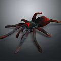 Realistic 3D Rendered Spider With Red Glowing Eyes And Long Legs