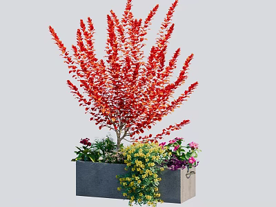 Flower box festive flowering greening 3d model