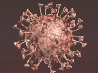 Medical Device For Virus Structure Research With 3D Visualization Of Spike Proteins And Shell 3d model