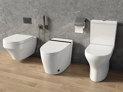 Modern Toilets Against Gray Wall With Wooden Floor And Toilet Paper Holder Fixtures 3d model