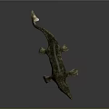 Prehistoric Aquatic Reptile Creature With Open Mouth Sharp Teeth And Scaly Skin