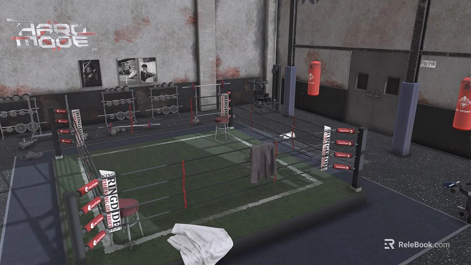 Indoor Boxing Ring Workout Space With Fitness Equipment Punching Bag And Posters 3d model 