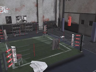 Indoor Boxing Ring Workout Space With Fitness Equipment Punching Bag And Posters 3d model