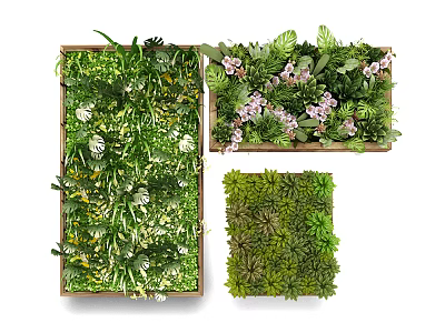 Decorative Living Plant Wall Designs With Floral Accents And Succulent Varieties 3d model