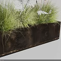 Bonsai Potted Plant In Rectangular Brown Planter With Green Grass And White Feathery Foliage