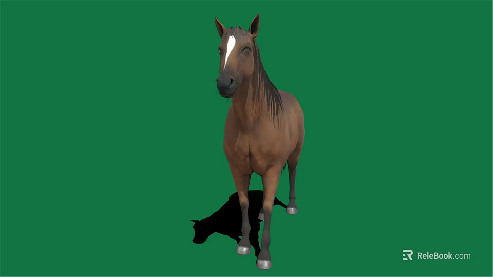 Brown horse with white forehead black mane white hooves standing on green background with shadow 3d model 