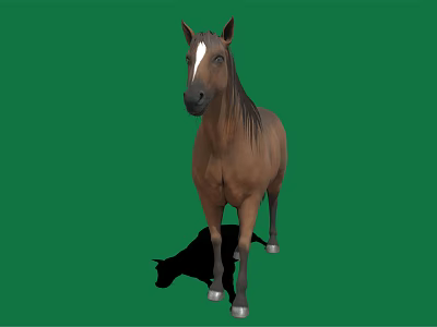 Brown horse with white forehead black mane white hooves standing on green background with shadow 3d model