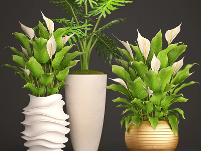 Indoor Potted Plants With Green Leaves White Flowers In Wavy Cylindrical Gold Woven Pots 3d model