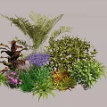 Diverse Garden Plant Combination With Ferns Purple Flowers And Colorful Foliage Shrubs