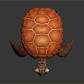 Vibrant Red Shelled Sea Turtle With Detailed Eyes And Brown Limbs In Illustration
