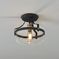 Modern Round and Globular Ceiling Lights with Golden Black Frames and Transparent Glass 3d model