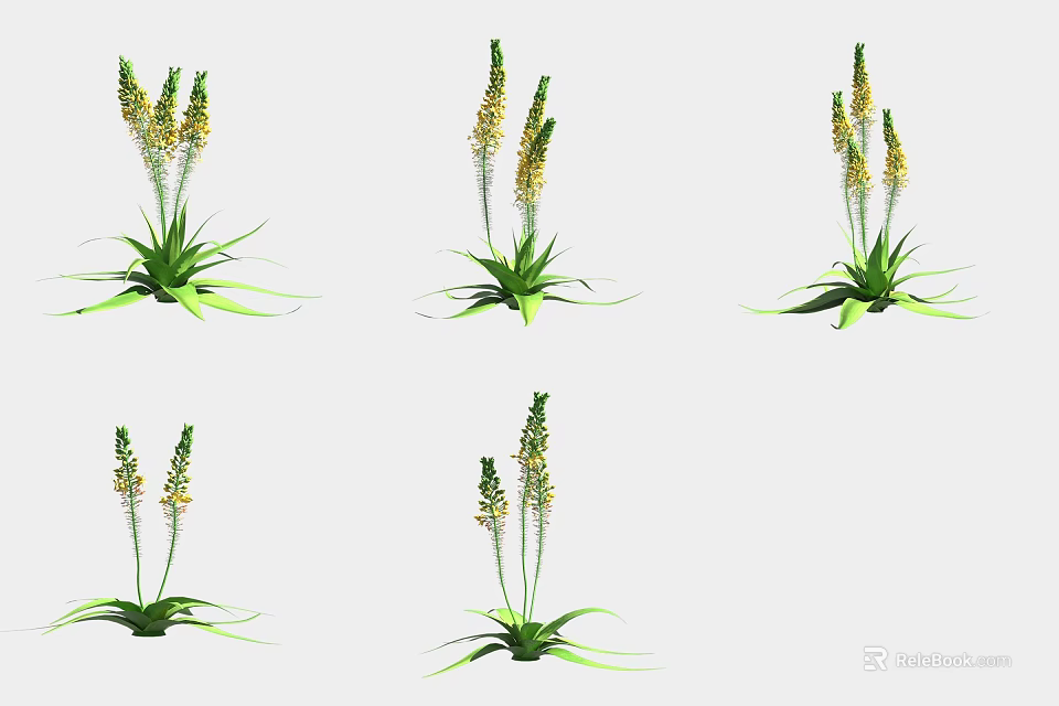 Six Green Plants with Yellow Flower Spikes and Lush Leaves on White Background 3d model 