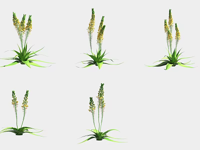 Six Green Plants with Yellow Flower Spikes and Lush Leaves on White Background 3d model