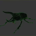 Shiny Black Horned Beetle With Detailed Exoskeleton And Reflective Surface