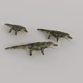 Reptile Crocodile Models With Green Gray Color Textured Skin Open Mouth On Light Background