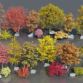 arbor ginkgo tree autumn landscape tree autumn tree yellow tree five-pointed maple willow tree 3d model