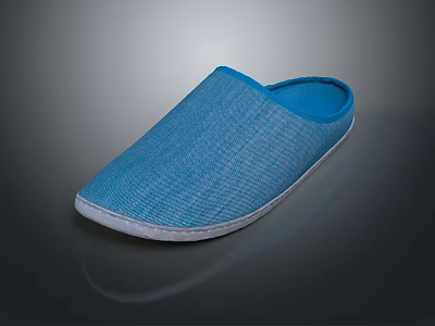 Plastic Slippers Flat Floor Slippers Leather Slippers Casual Slippers Sandals Beach Shoes Bubble Shoes 3d model