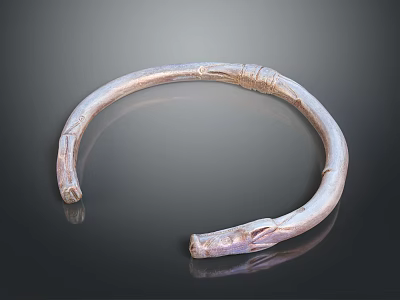 Silver Circular Collar Fashion Accessory With Carved Dragon Head Ends And Textured Surface Design 3d model