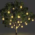 Hanging Round Decorative Lights Illuminated On Tree With Green Leaves