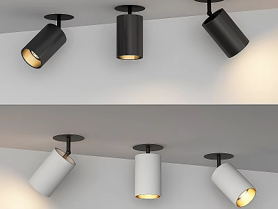 Modern Black White Downlights And Spotlights Ceiling Lighting Fixtures For Home 3d model