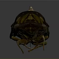Close Up View Of Cicada With Brown Body And Transparent Green Veined Wings