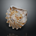 Brown And White Conch Shell With Spiky Edges And Textured Surface On Dark Background