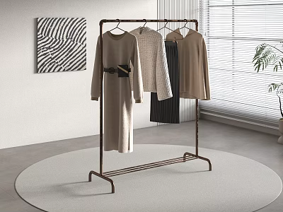 Clothing Rack With Hanging Clothes Different Styles On Round Rug Near Window Wall Art 3d model