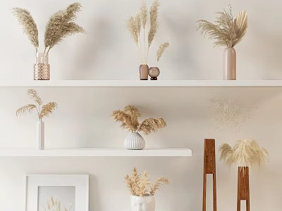 Dried Flowers in Various Stylish Vases on Minimalist Shelves with Neutral Tones 3d model