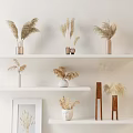 Dried Flowers in Various Stylish Vases on Minimalist Shelves with Neutral Tones