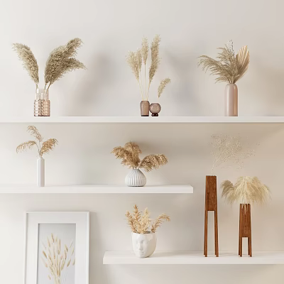 Dried Flowers in Various Stylish Vases on Minimalist Shelves with Neutral Tones 3d model