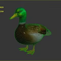 Realistic Duck With Green Head Yellow Beak Brown Body And Orange Feet
