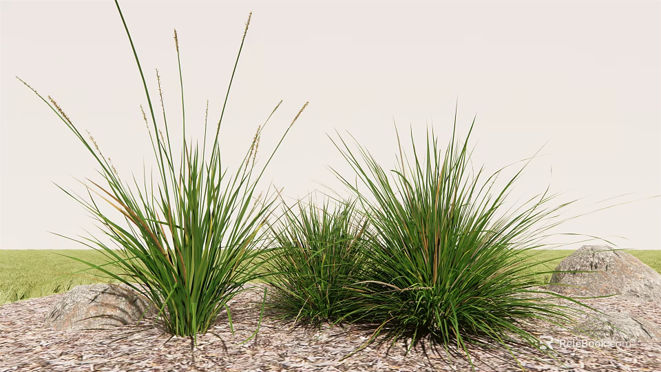 Lush Green Ornamental Grass in Natural Garden Setting with Wood Chips and Stones 3d model 