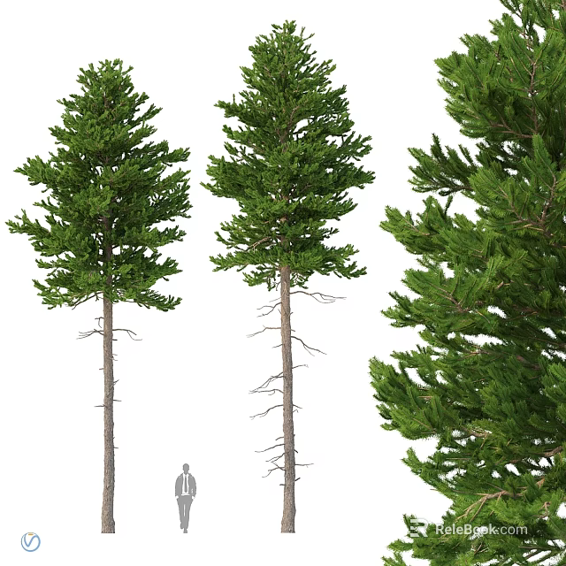 Three Pine Tree Decorative Ornament Set With Human Figure Scale 3d model 