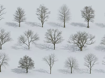 Modern Tree Autumn Tree Dead Tree 3d model