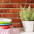 White Kitchen Cabinets With Red Brick Wall Cooking Tools Plants And Magazines On Countertop
