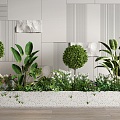 Plant combination flower box flower pool flower bed green plant flower box plant pile pot 3d model