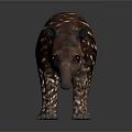 Brown Tapir With White Stripes Long Snout And Small Ears On Dark Background