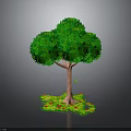 Green Leafy Tree With Brown Trunk And Lush Foliage Surrounded By Red And Green Flowers